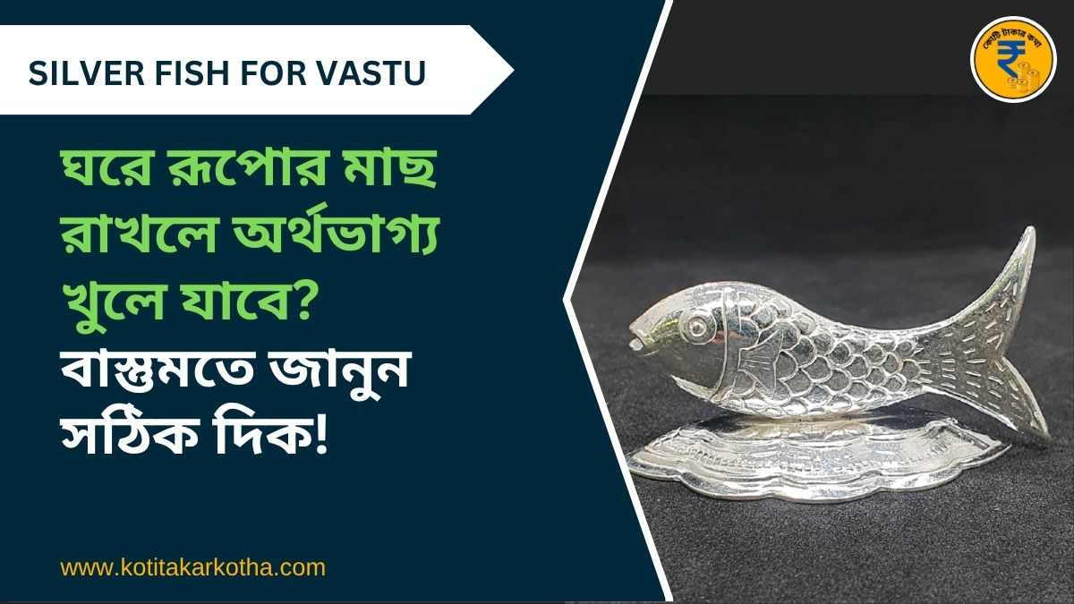 ঘরে রূপোর মাছ (Silver Fish) রাখলে অর্থভাগ্য খুলে যাবে? বাস্তুমতে জানুন সঠিক দিক